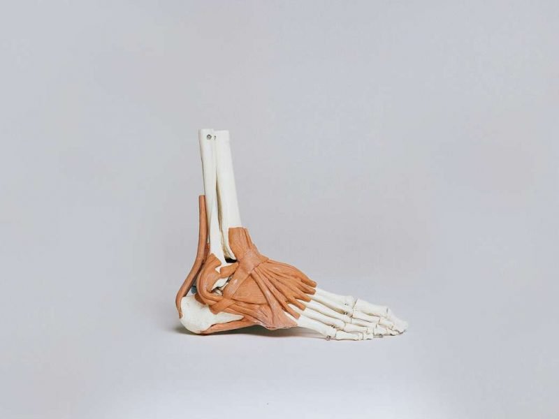 physio1 physio1